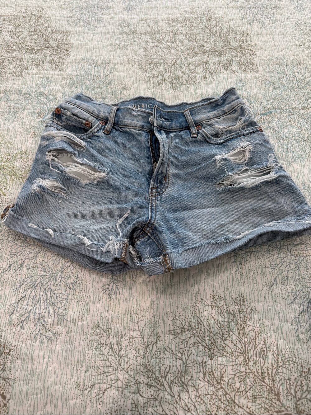 American Eagle Outfitters Light Blue Distressed Denim Shorts